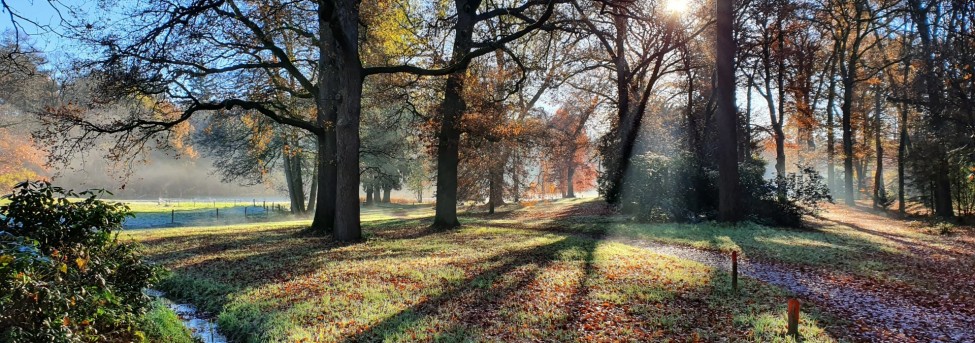 Waarom beleggers zich op groene obligaties storten 